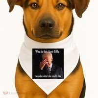 Who is Aunt Tiffa Joe Biden Funny Meme USA-Made Doggie Bandana thumb 1