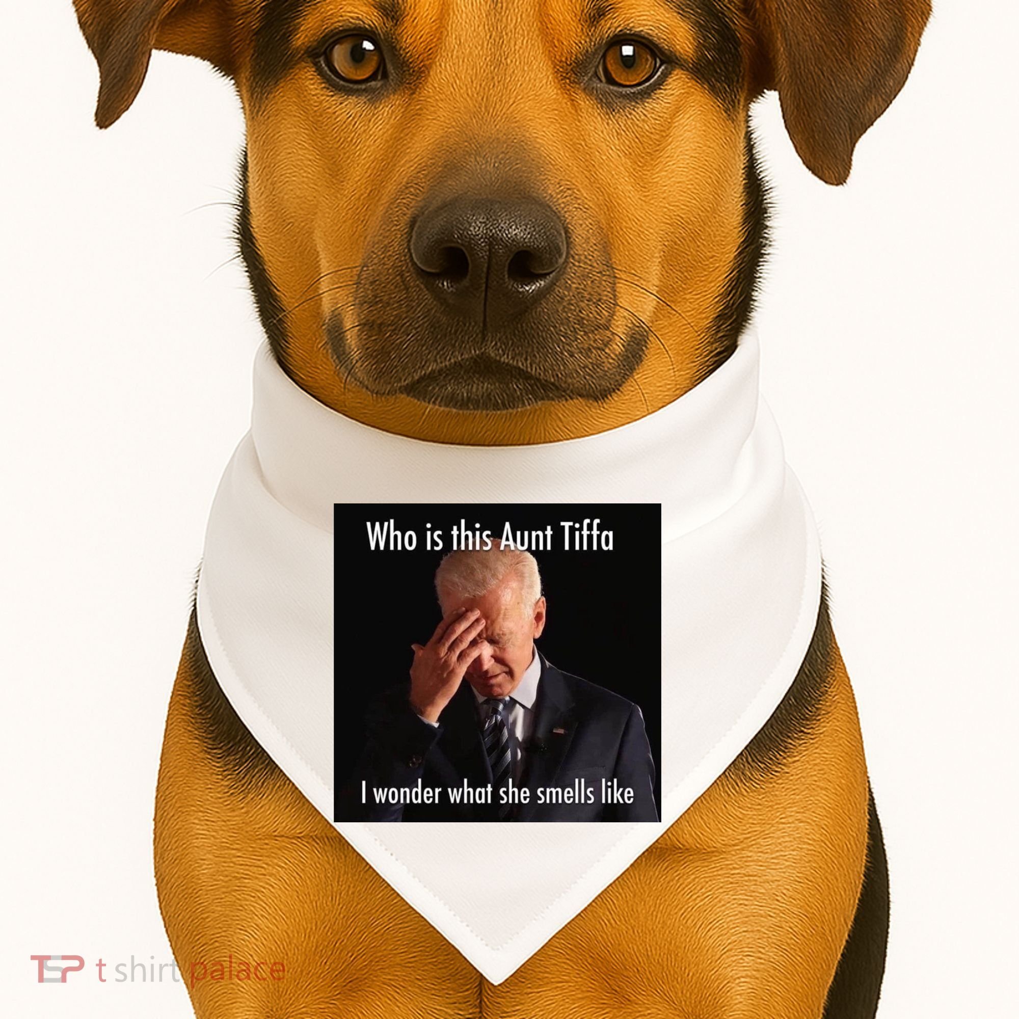 Who is Aunt Tiffa Joe Biden Funny Meme USA-Made Doggie Bandana