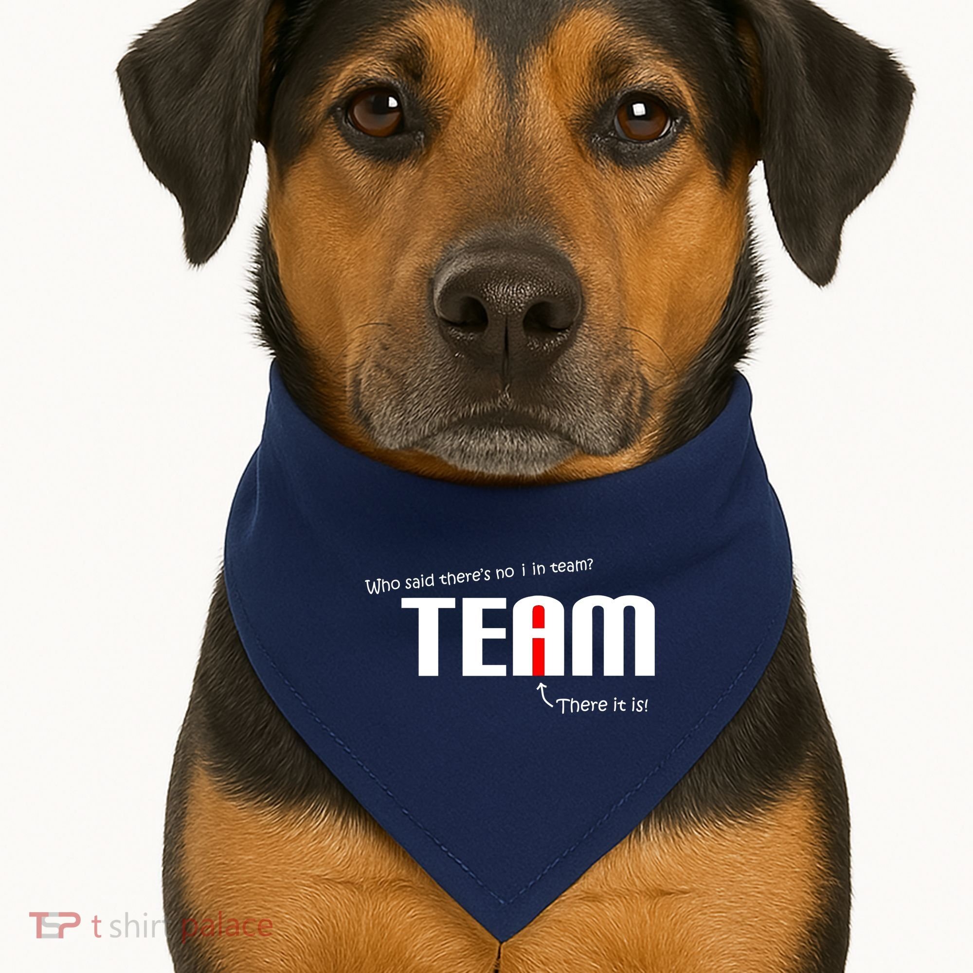 Who Said There's No I I Team USA-Made Doggie Bandana