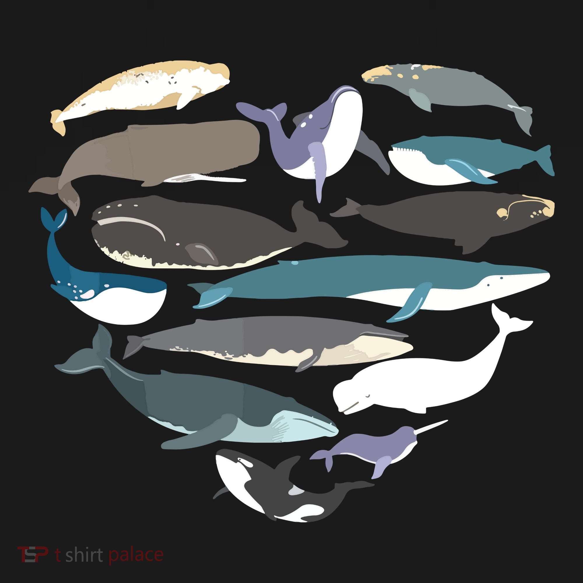 Whales Heart Shape Cute Ocean Mammals Whale Breeds Species Women's Long Sleeve Shirt