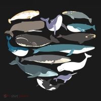 Whales Heart Shape Cute Ocean Mammals Whale Breeds Species Kids Sweatshirt thumb 2