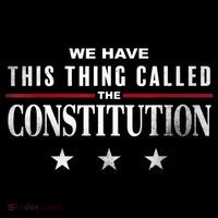 We Have This Thing Called The Constitution American Patriot Coffee Mug thumb 5