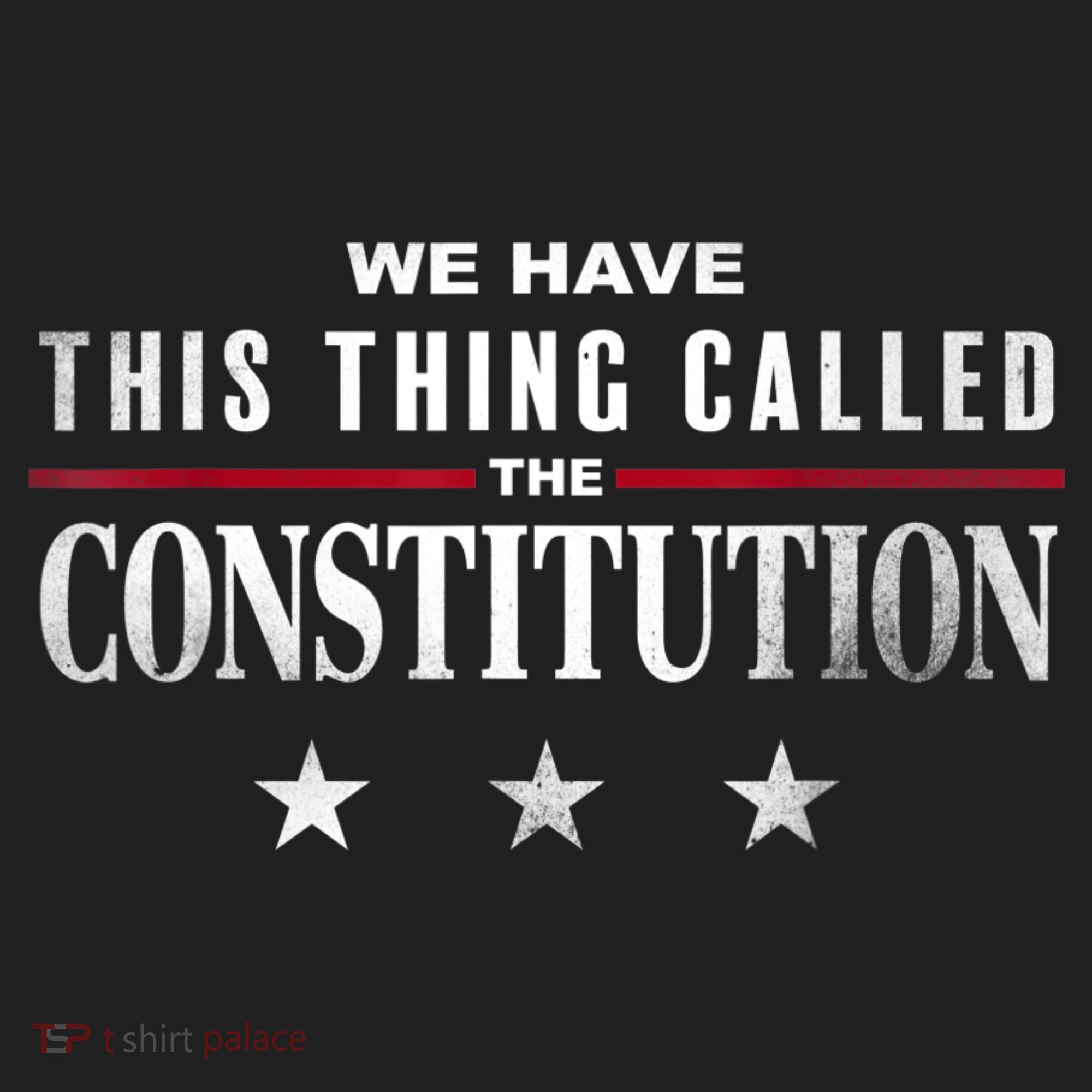 We Have This Thing Called The Constitution American Patriot Beanie