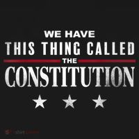 We Have This Thing Called The Constitution American Patriot Women's Hoodie thumb 2