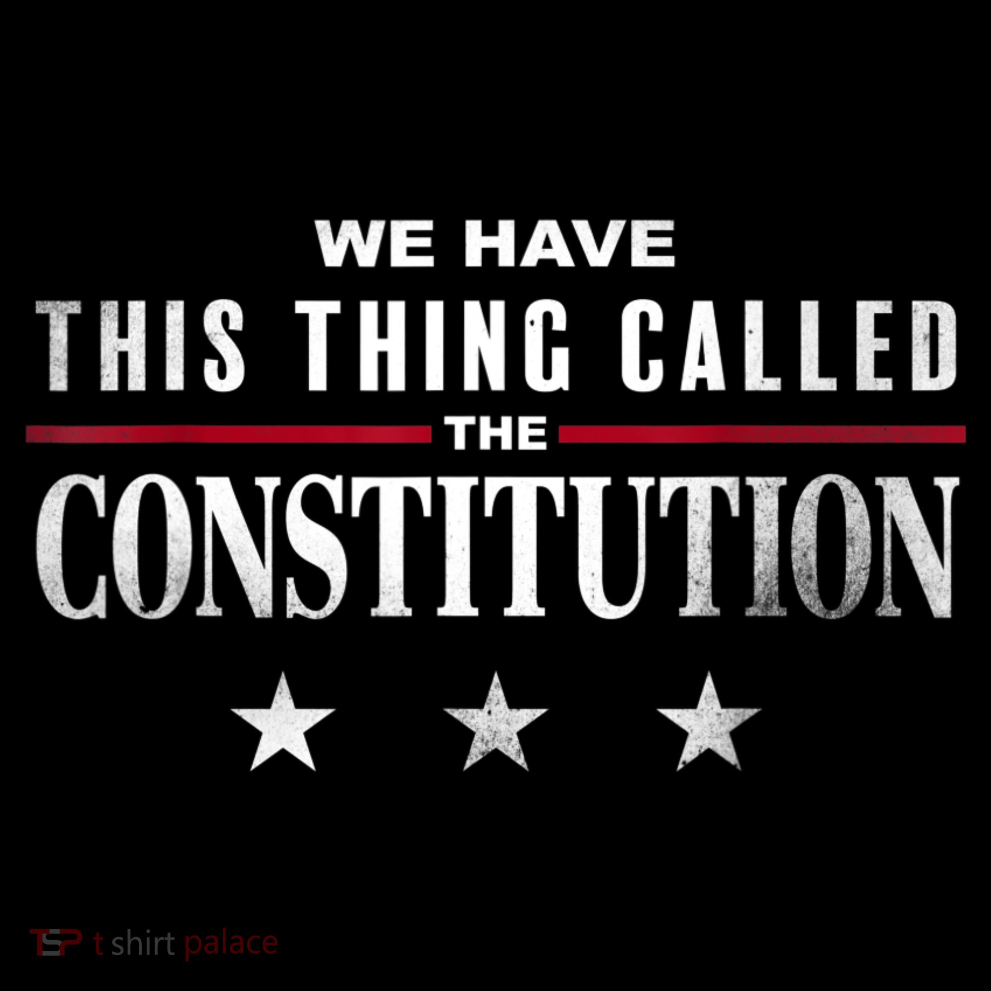 We Have This Thing Called The Constitution American Patriot Women's Hoodie