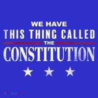 We Have This Thing Called The Constitution American Patriot Coaster thumb 2