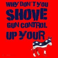 Why Don't You Shove Gun Control Up Your Santa Hat thumb 1