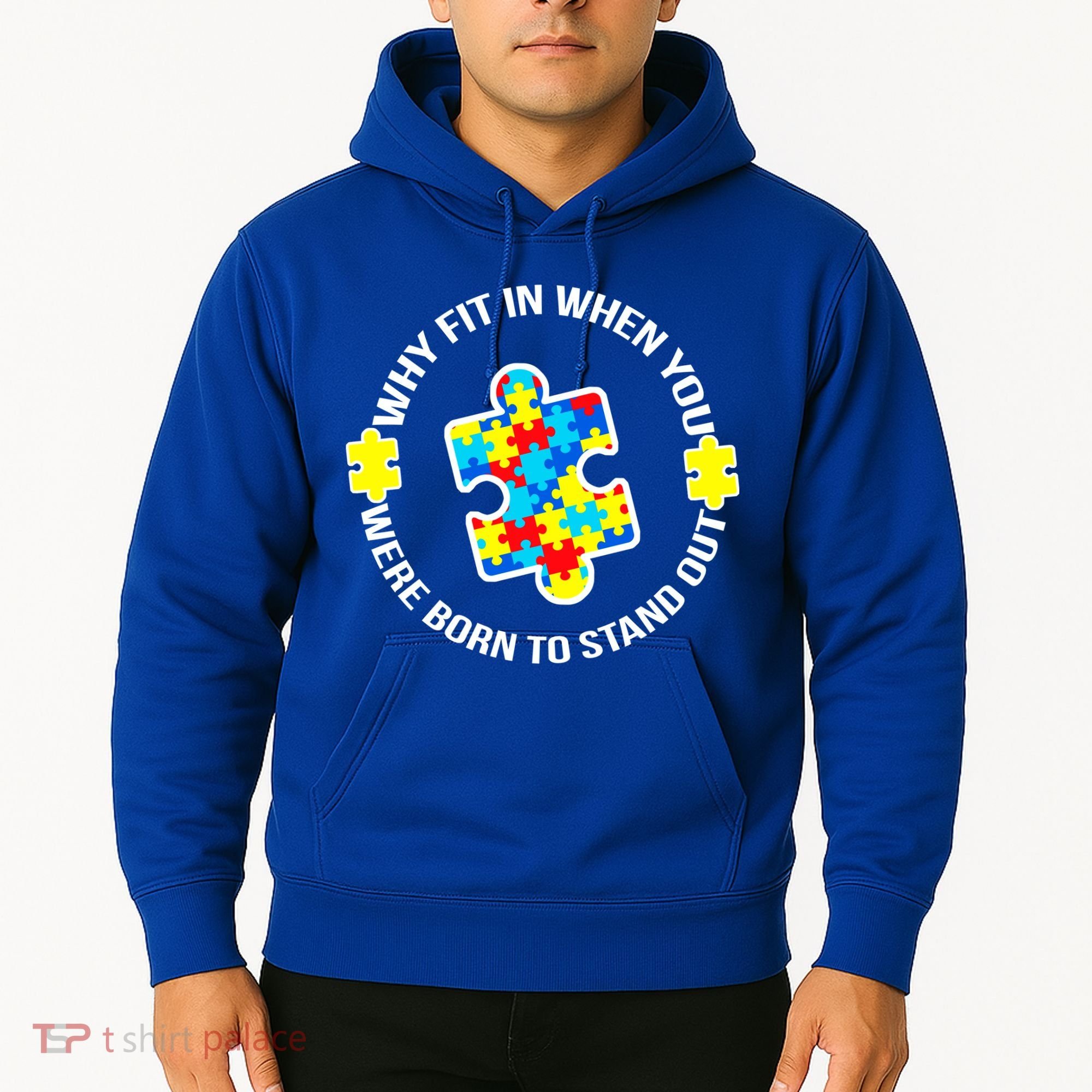 Why Fit In Autism Awareness Hoodie