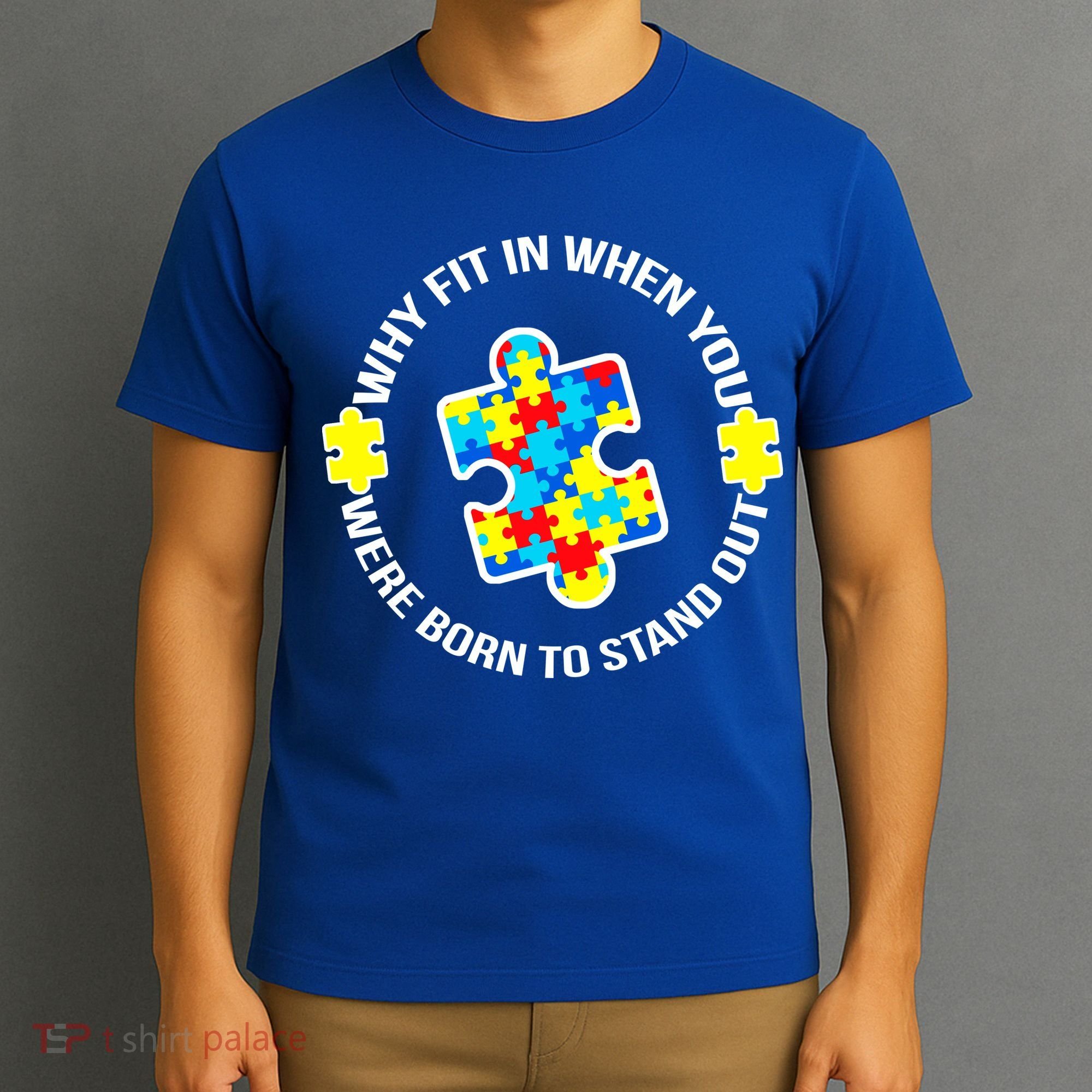 Why Fit In Autism Awareness T-Shirt