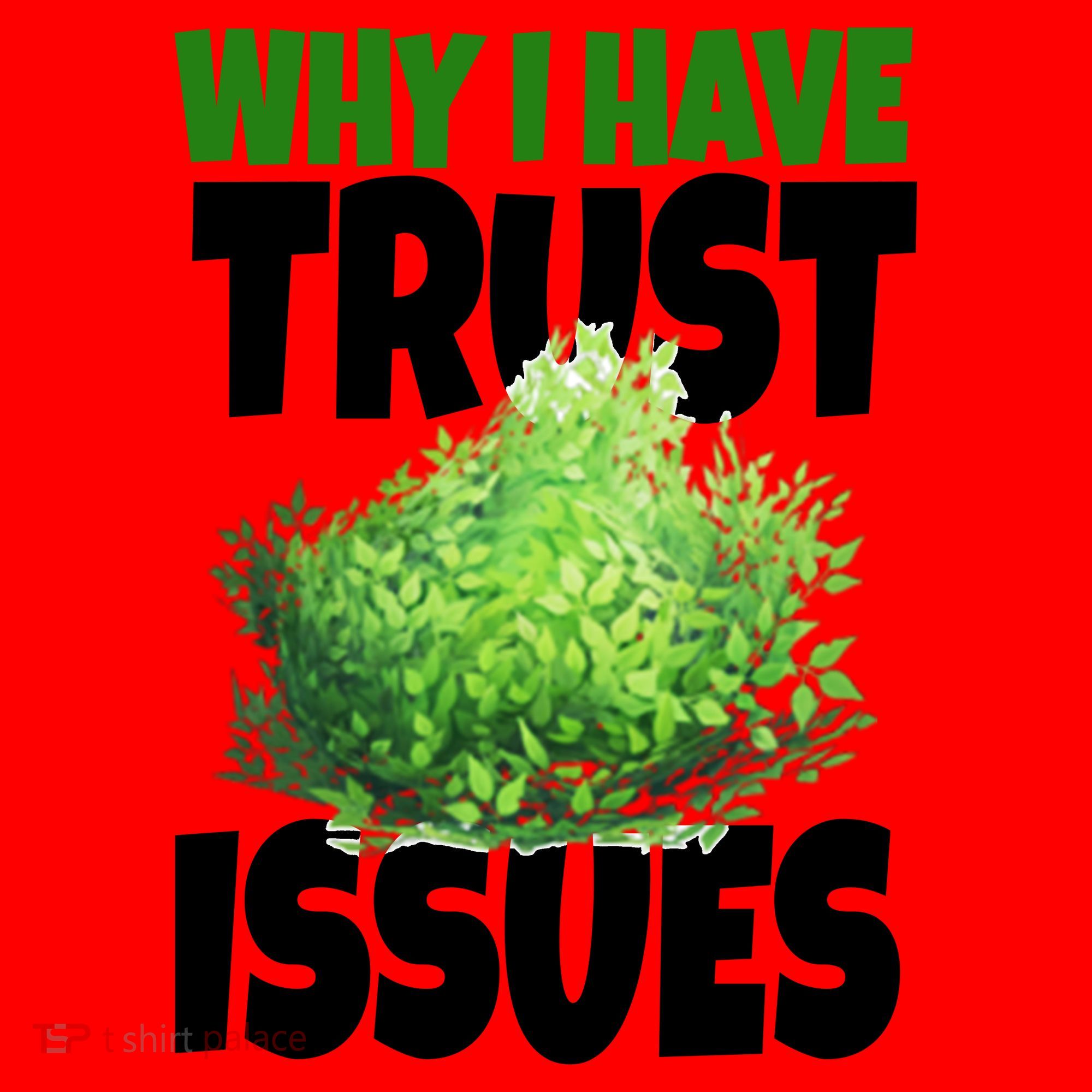 Why I Have Trust Issues Bush Camper Santa Hat