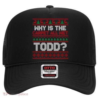 Why Is the Carpet All Wet Todd? Funny Christmas Hat