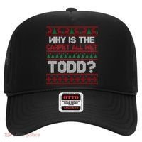 Why Is the Carpet All Wet Todd? Funny Christmas Hat thumb 0