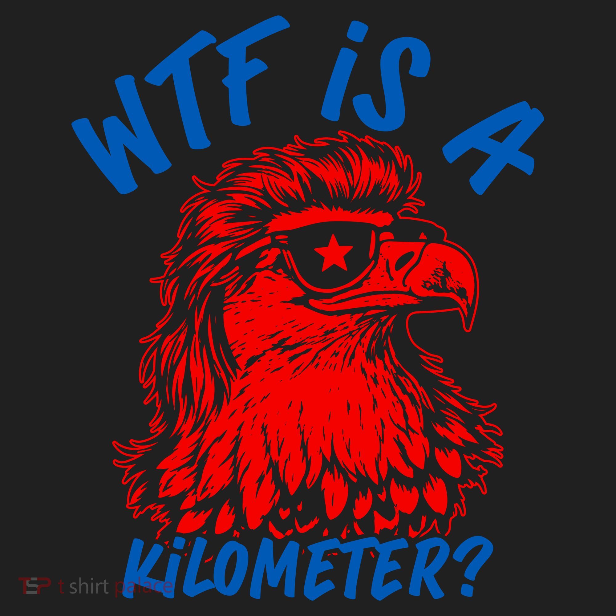 WTF Is A Kilometer? Eagle 4th Of July Women's Sweatshirt
