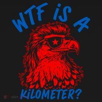 WTF Is A Kilometer? Eagle 4th Of July Coaster thumb 2