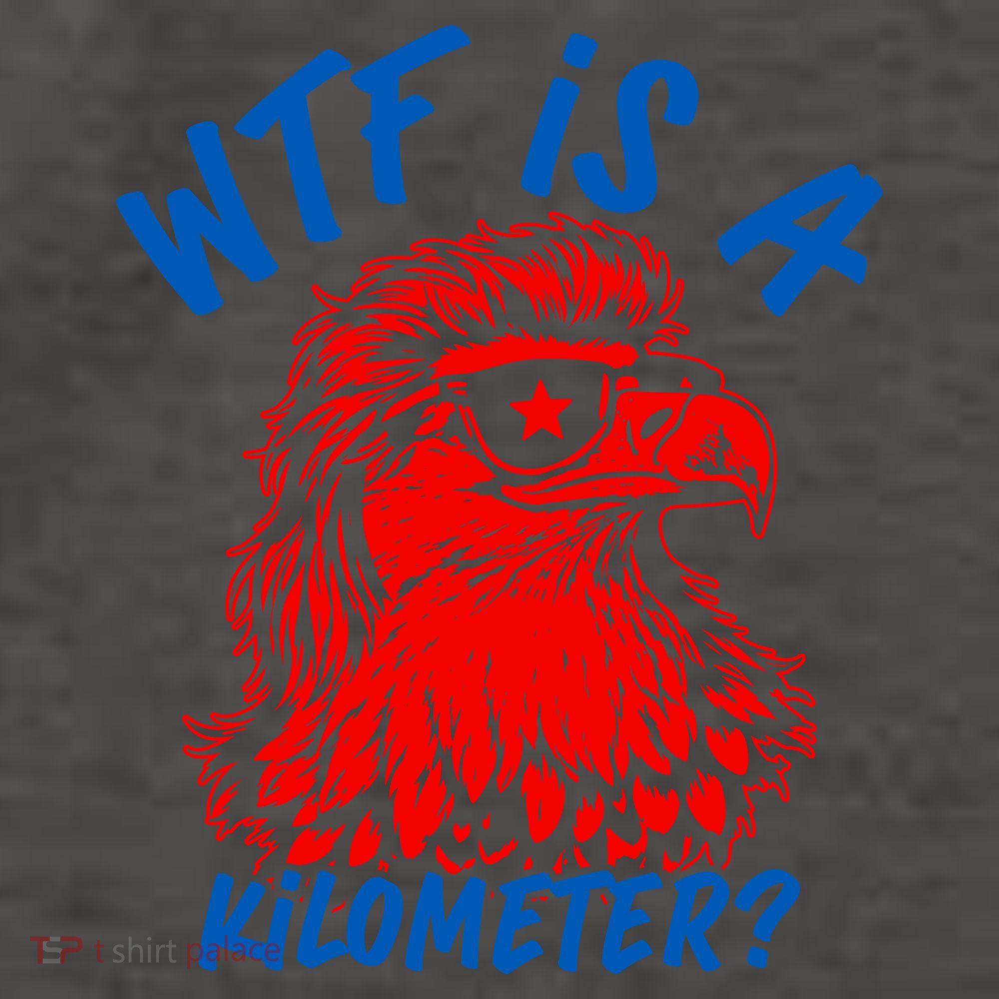 WTF Is A Kilometer? Eagle 4th Of July Vector Backpack