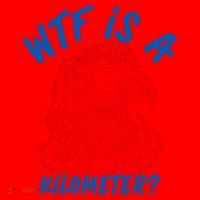 WTF Is A Kilometer? Eagle 4th Of July Santa Hat thumb 1