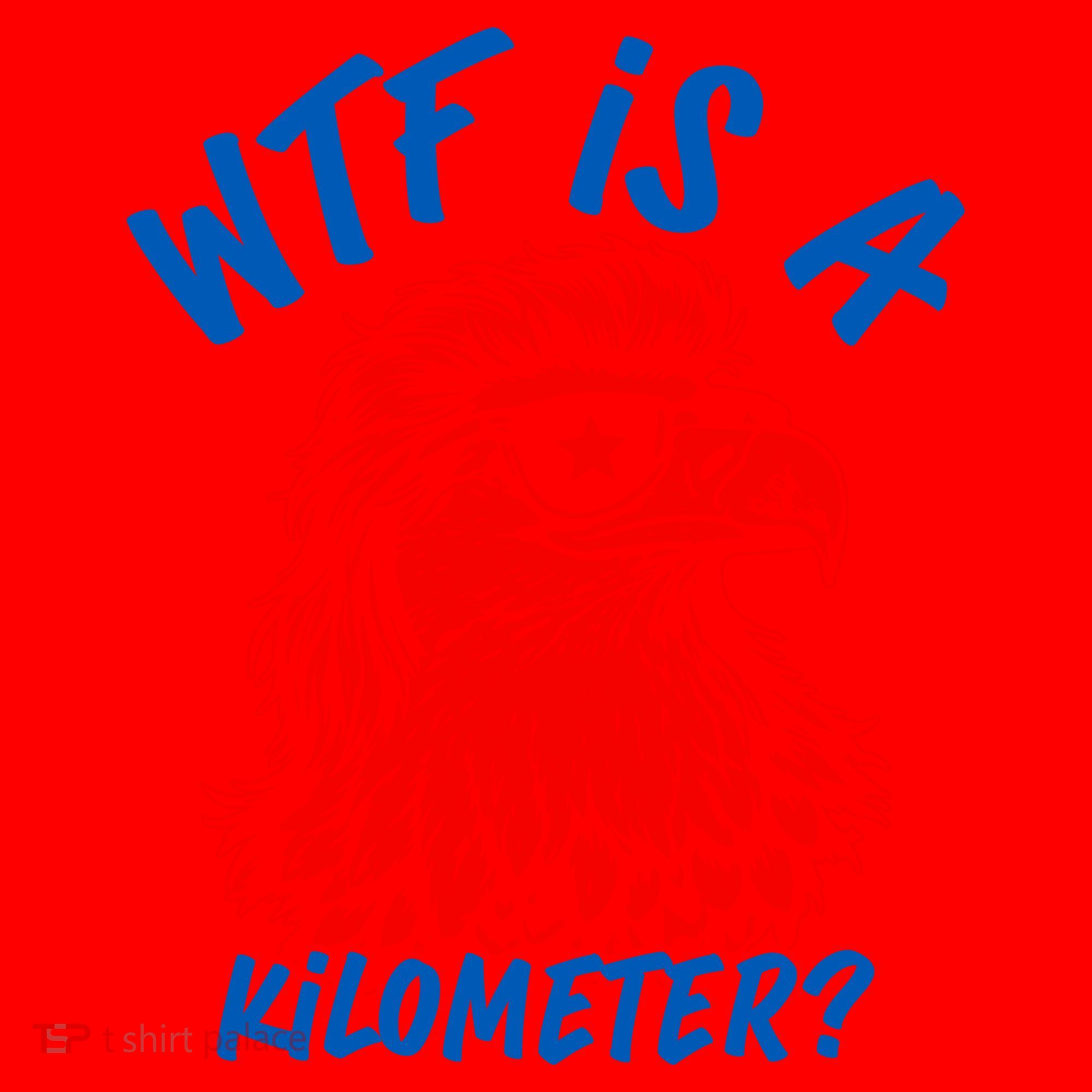 WTF Is A Kilometer? Eagle 4th Of July Santa Hat