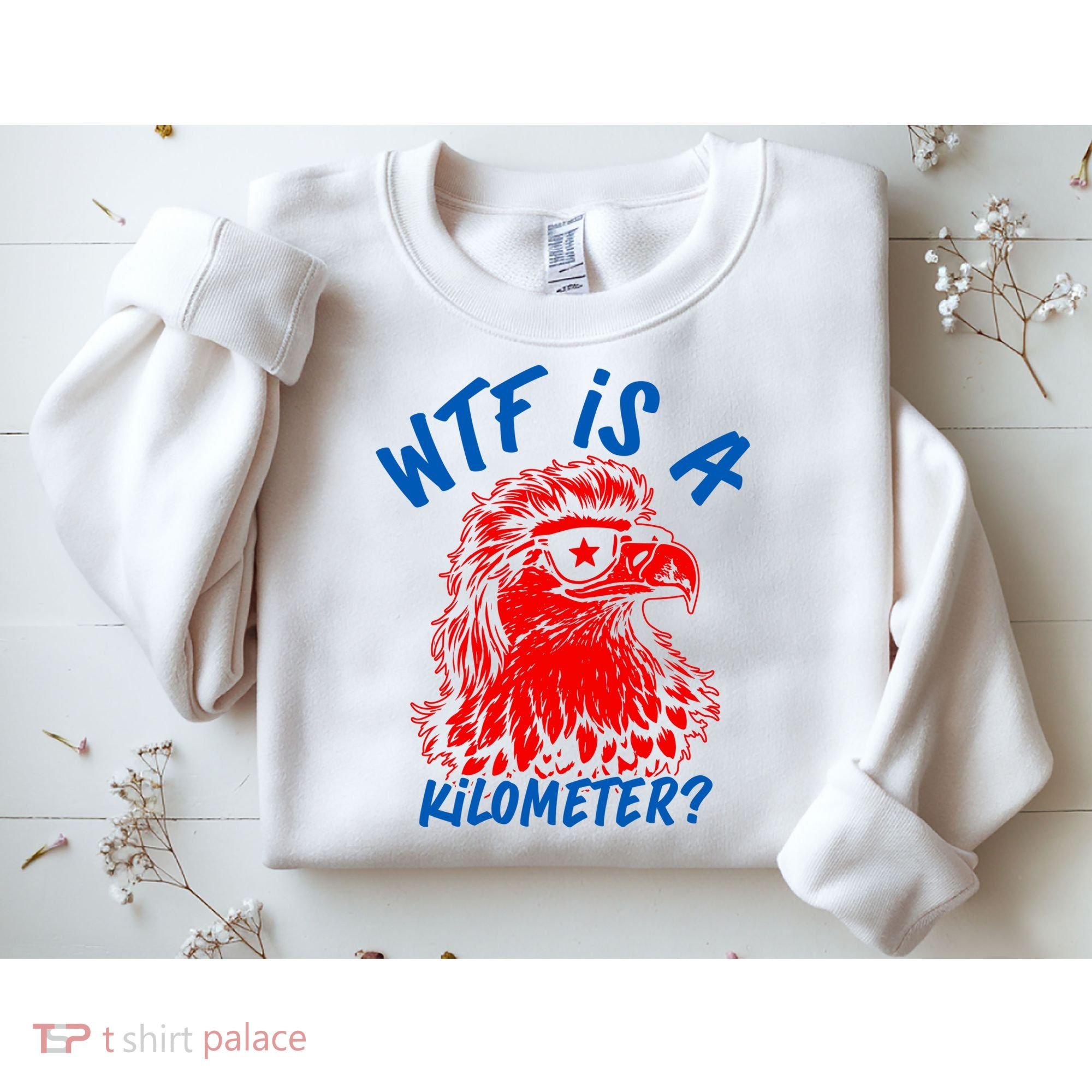 WTF Is A Kilometer? Eagle 4th Of July Sweatshirt