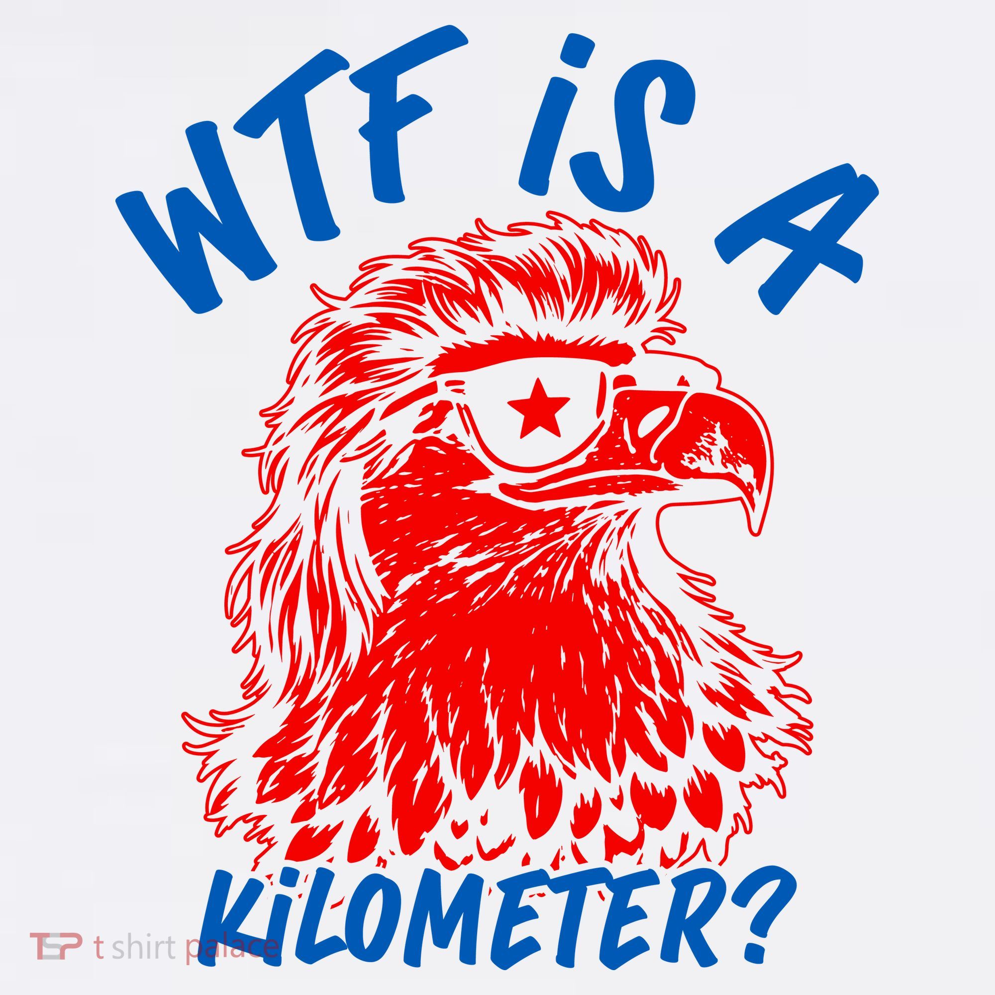WTF Is A Kilometer? Eagle 4th Of July T-Shirt