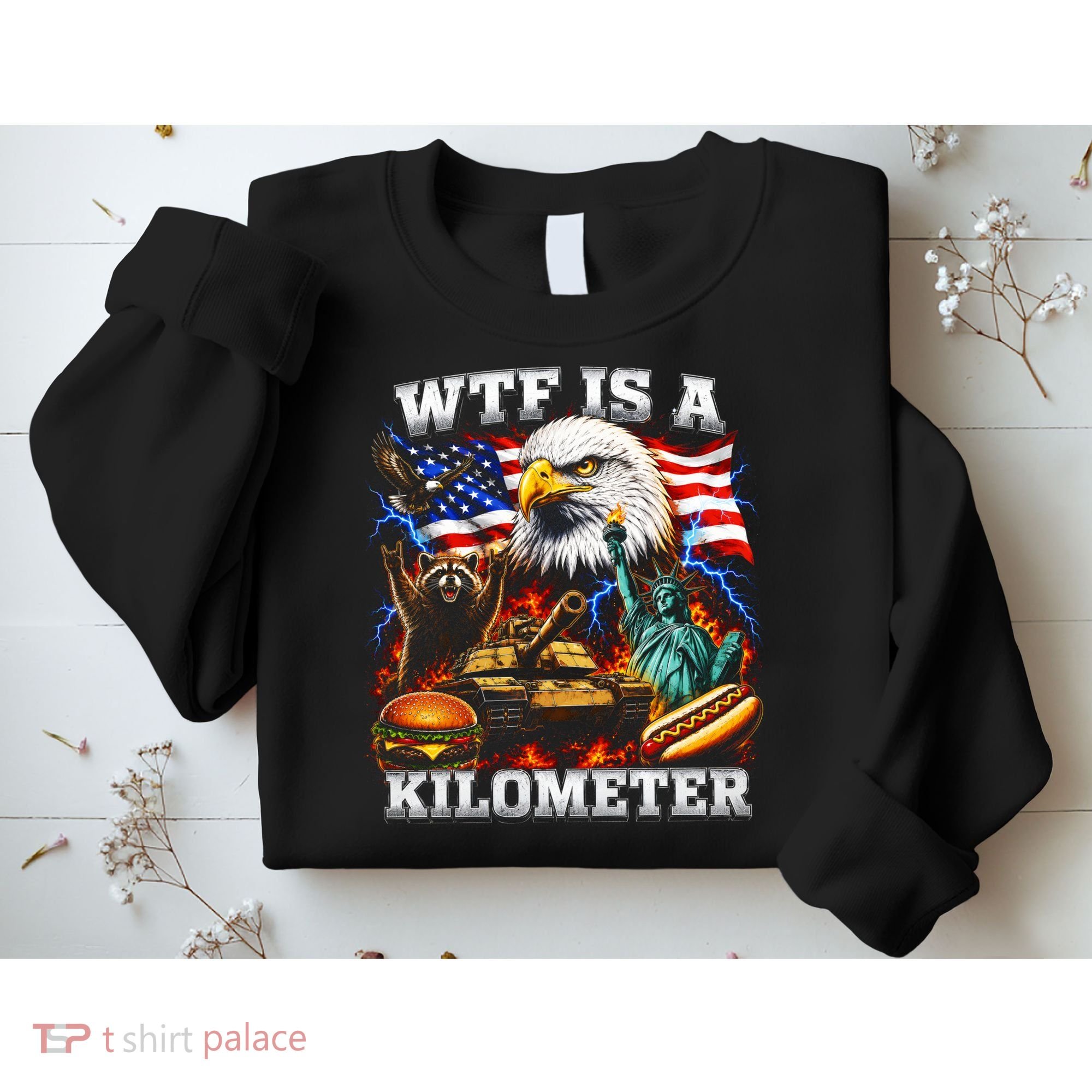 WTF Is A Kilometer? Patriotic Eagle American Graphic Sweatshirt