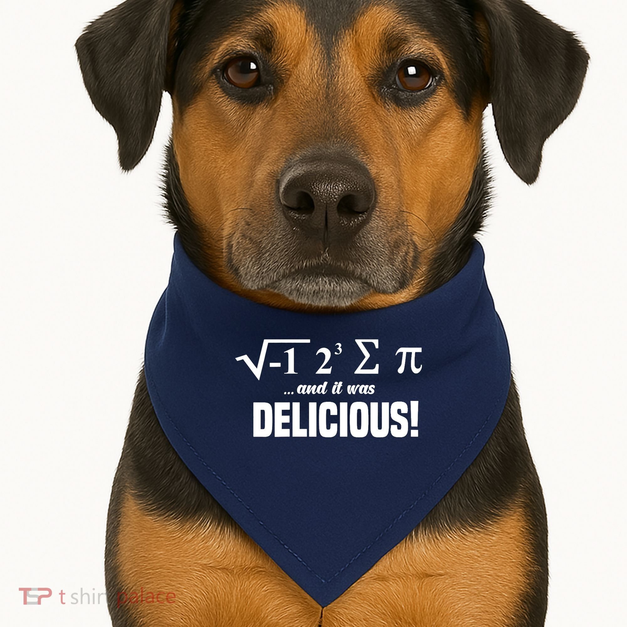 Wo I Ate Some Pie And It Was Delicious Funny Math Pun Pi Day V-Neck USA-Made Doggie Bandana