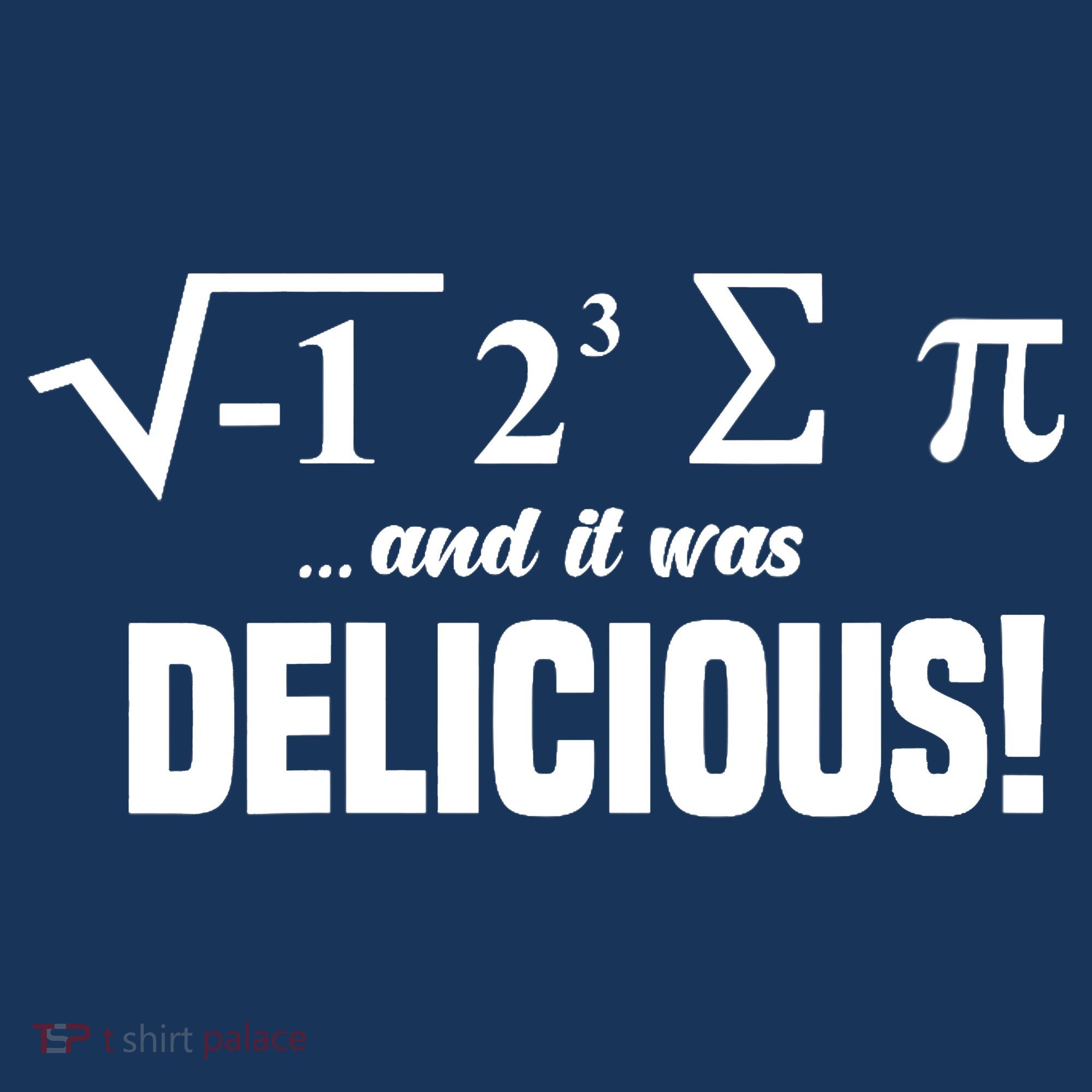 Wo I Ate Some Pie And It Was Delicious Funny Math Pun Pi Day V-Neck Women's Hoodie