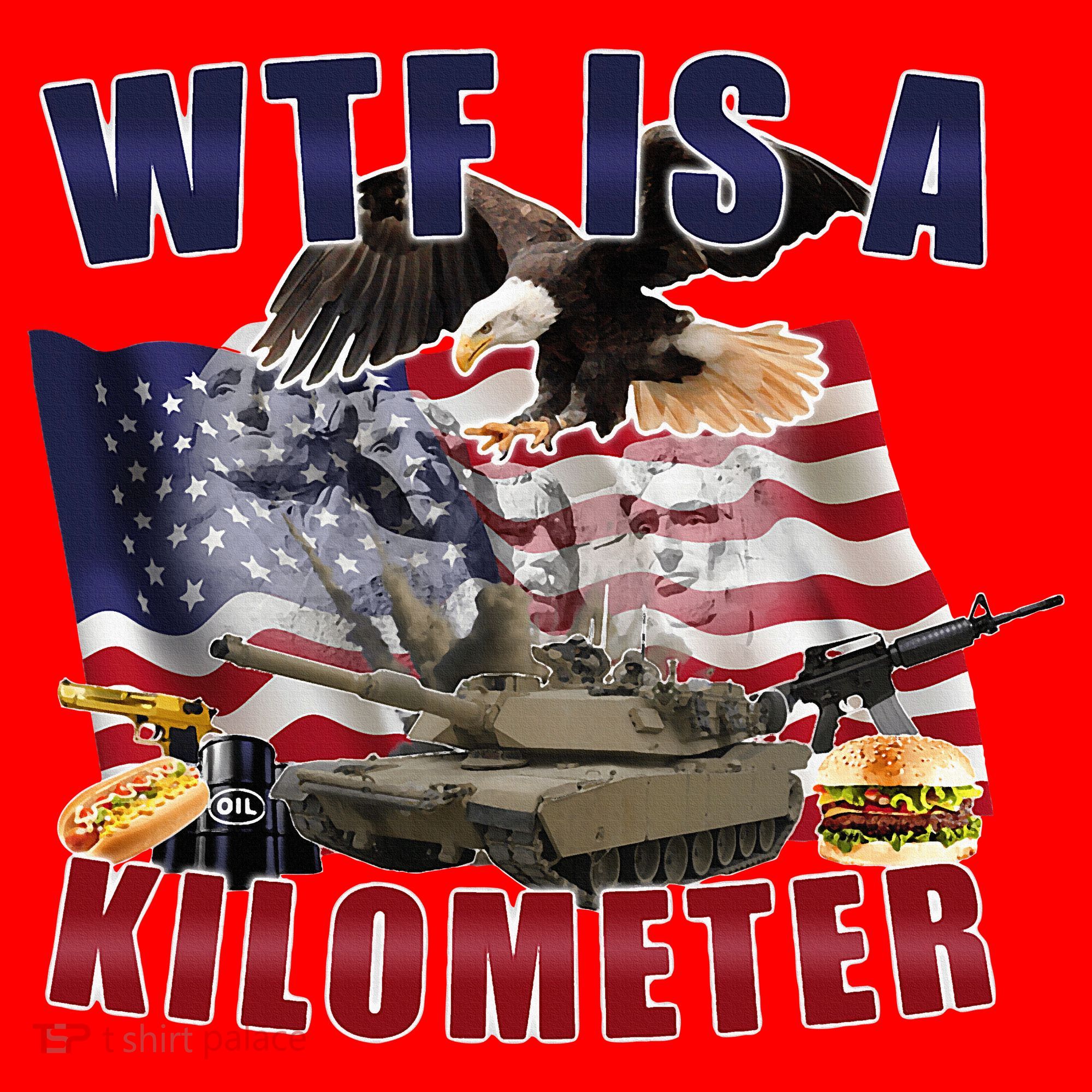 Wtf Is A Kilometer Funny Political Santa Hat