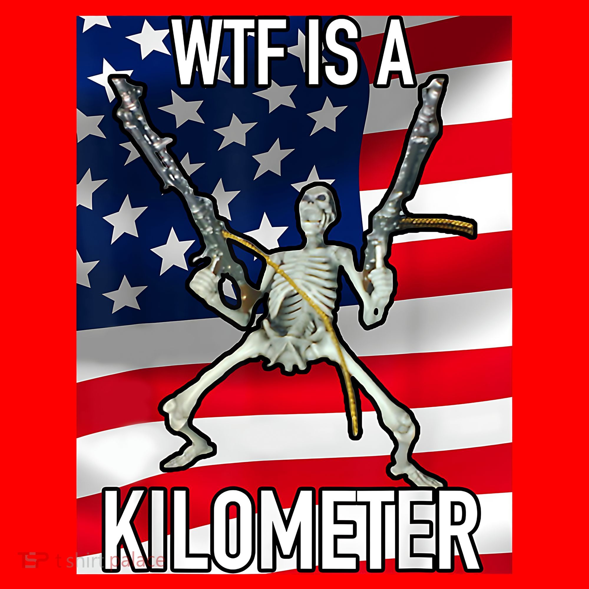 WTF Is A Kilometer July 4th Skeleton Funny Cringey USA Meme Santa Hat