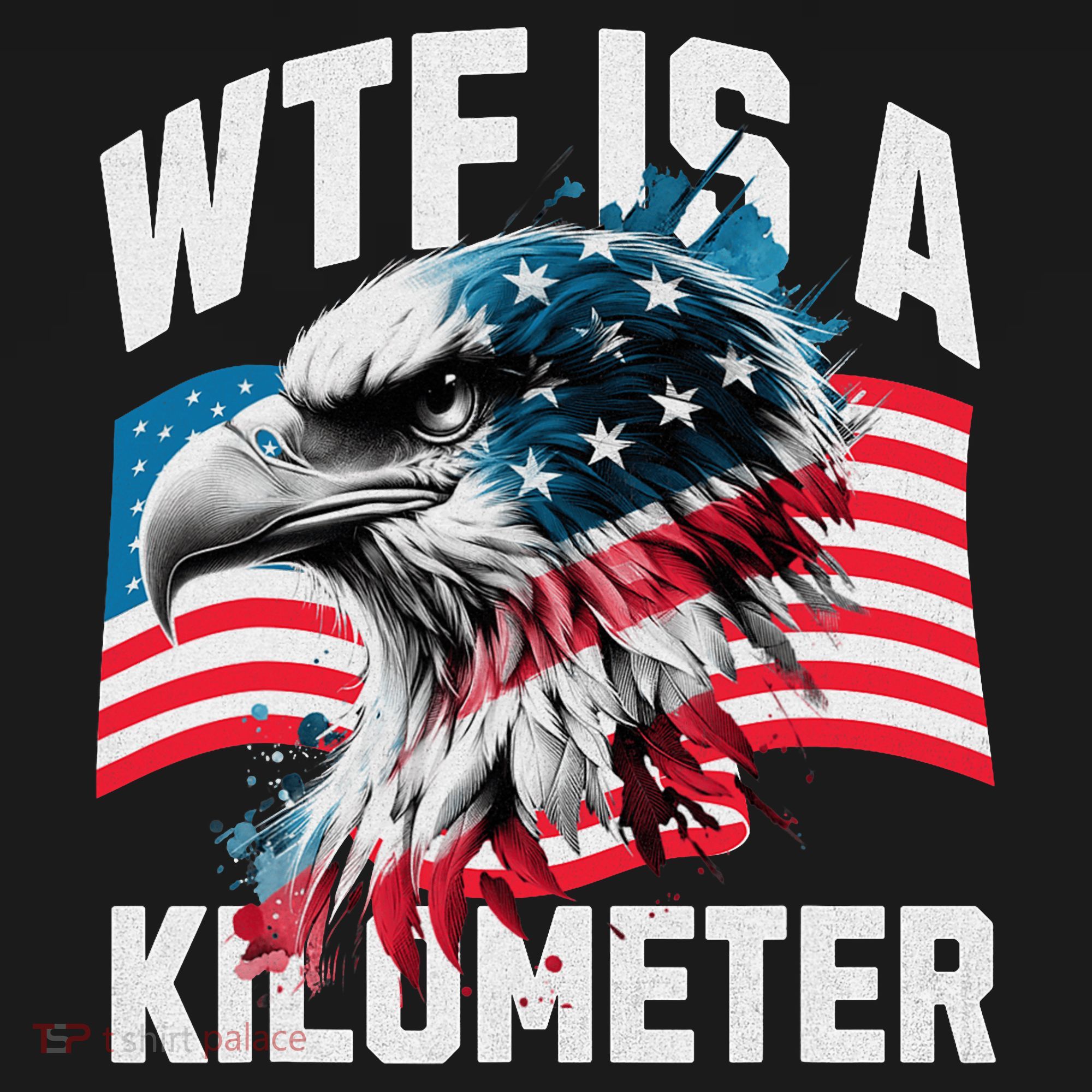 Wtf Is A Kilometer Eagle Badge American Vintage Humor T-Shirt