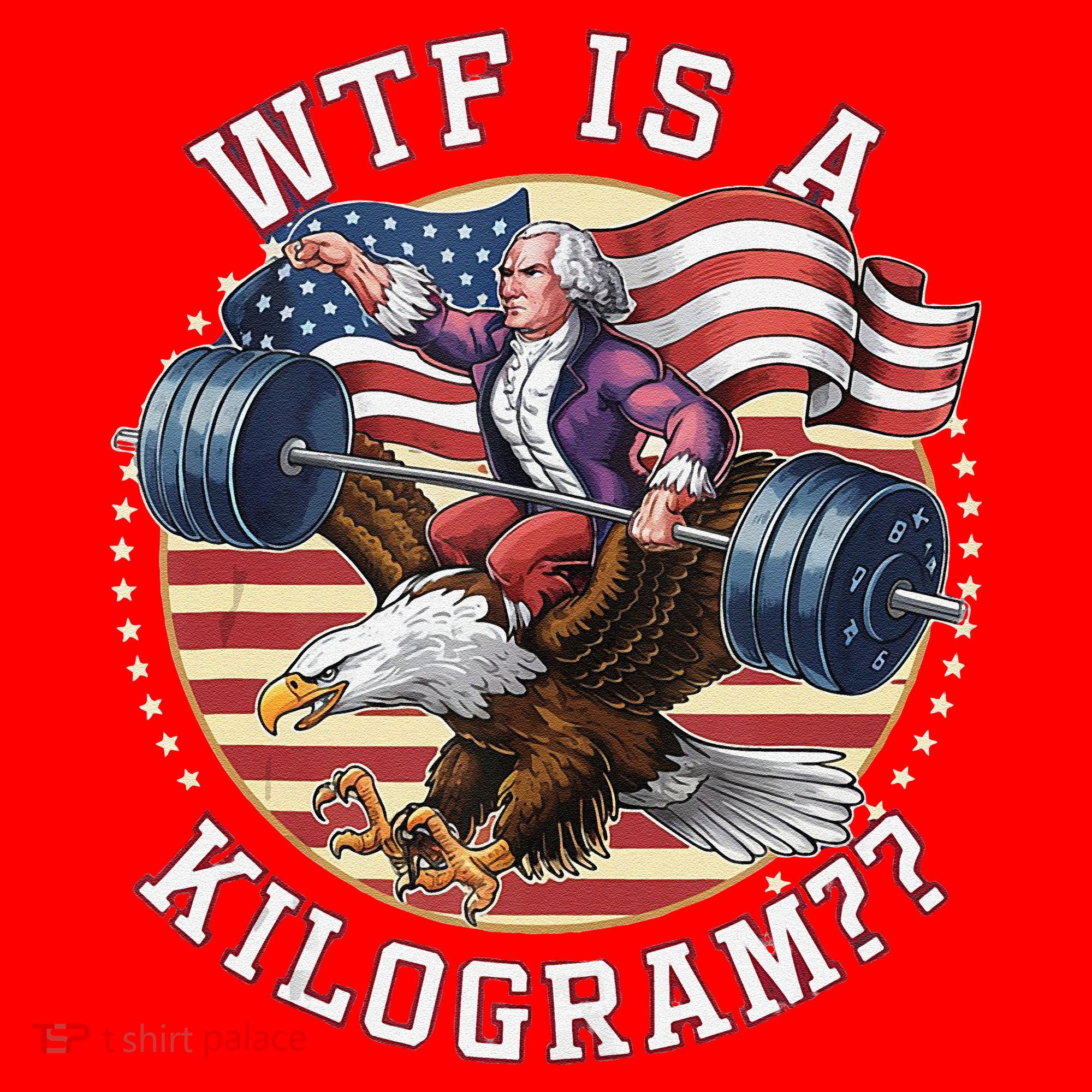 Wtf Is A Kilogram Funny 4th Of July Patriotic Eagle Usa Santa Hat