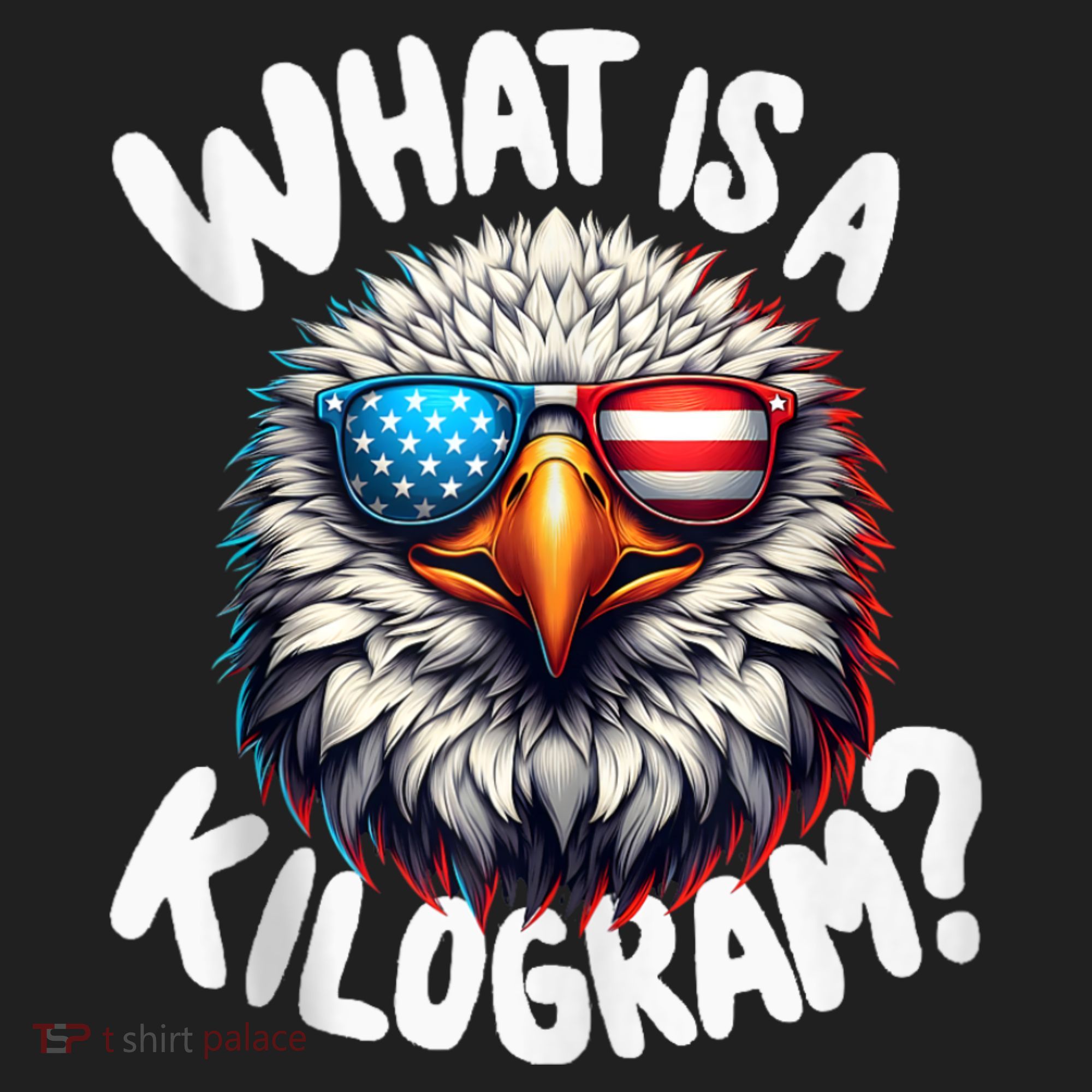 Wtf Is A Kilogram? Funny 4th Of July Patriotic Eagle Usa Beanie