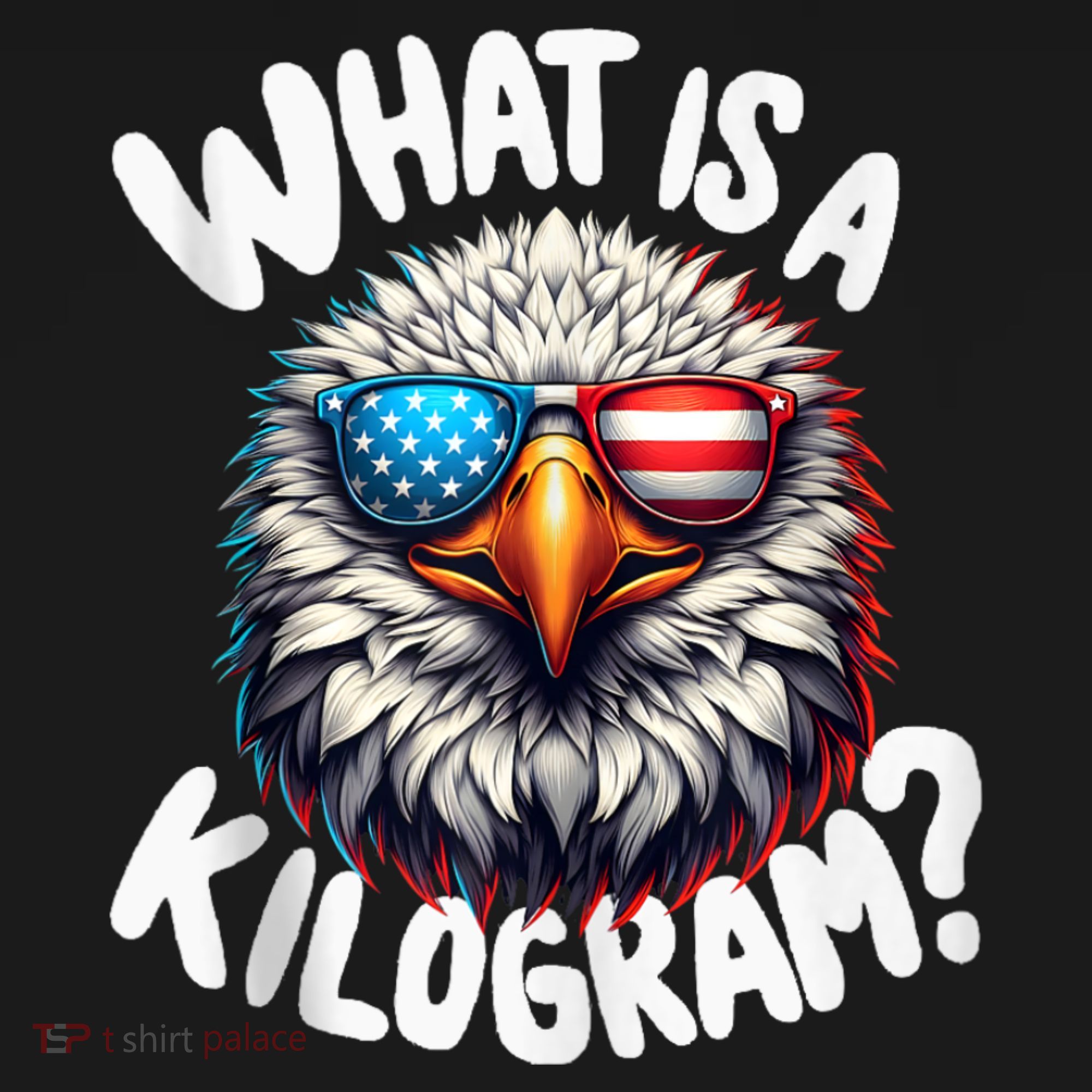 Wtf Is A Kilogram? Funny 4th Of July Patriotic Eagle Usa Coaster