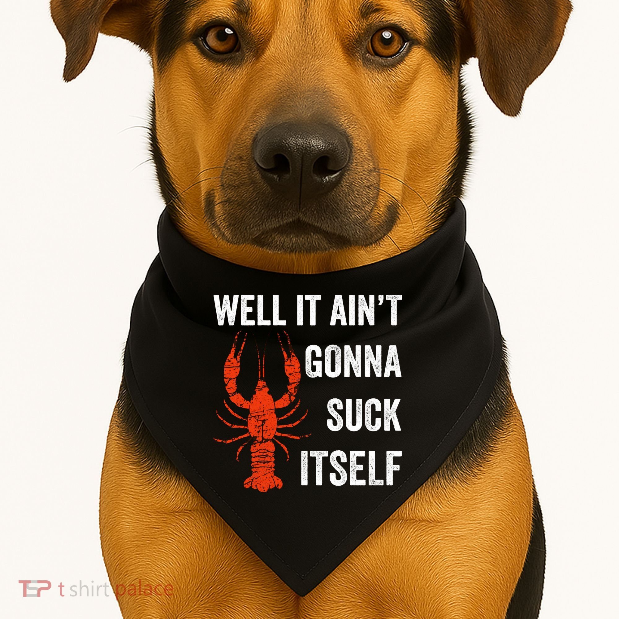 Well It AinT Gonna Suck Itself Crawfish Mardi Gras Gift USA-Made Doggie Bandana