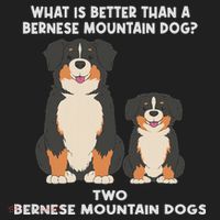 What Is Better Than A Bernese Two Bernese Mountain Dog Women's Sweatshirt thumb 2