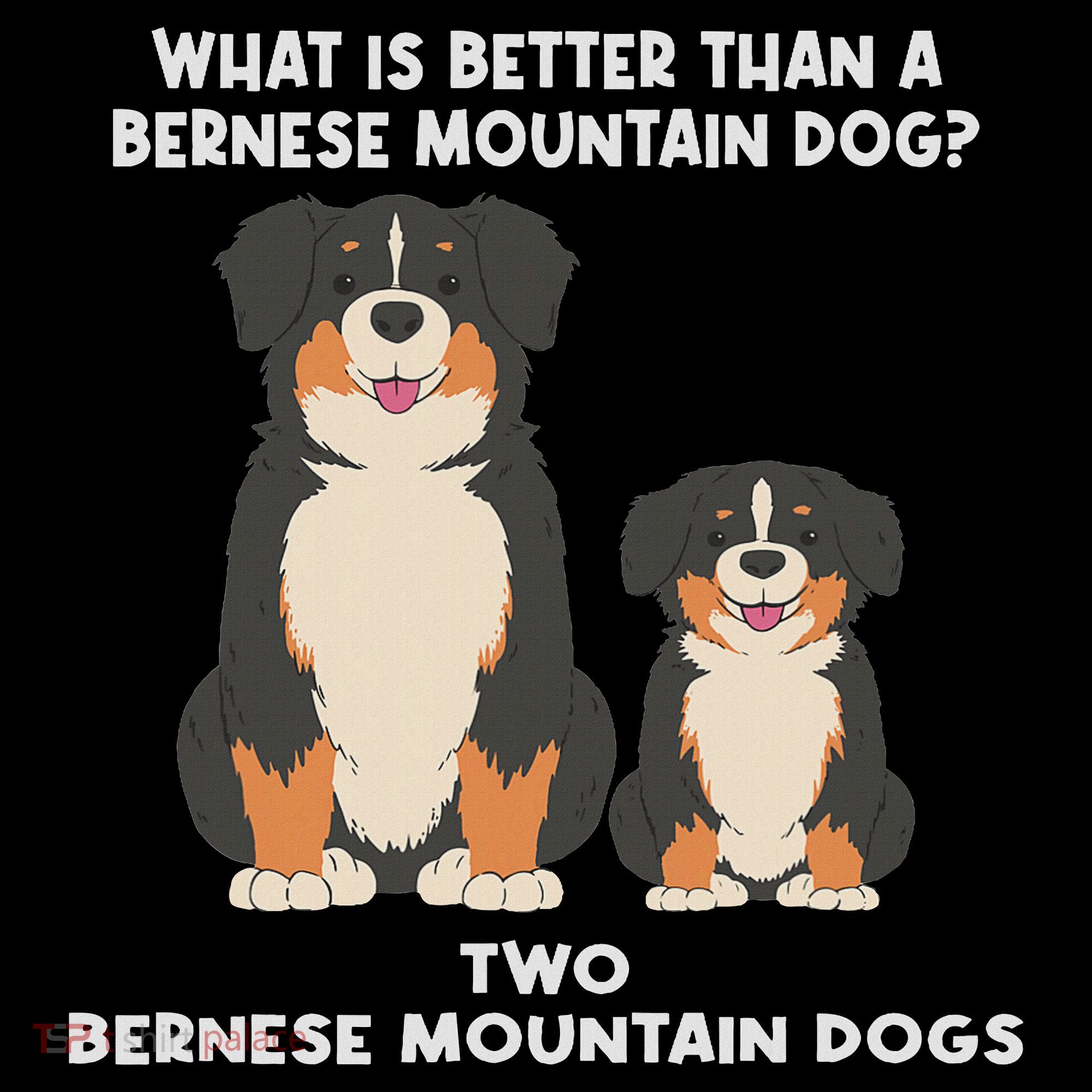 What Is Better Than A Bernese Two Bernese Mountain Dog Long Sleeve Shirt