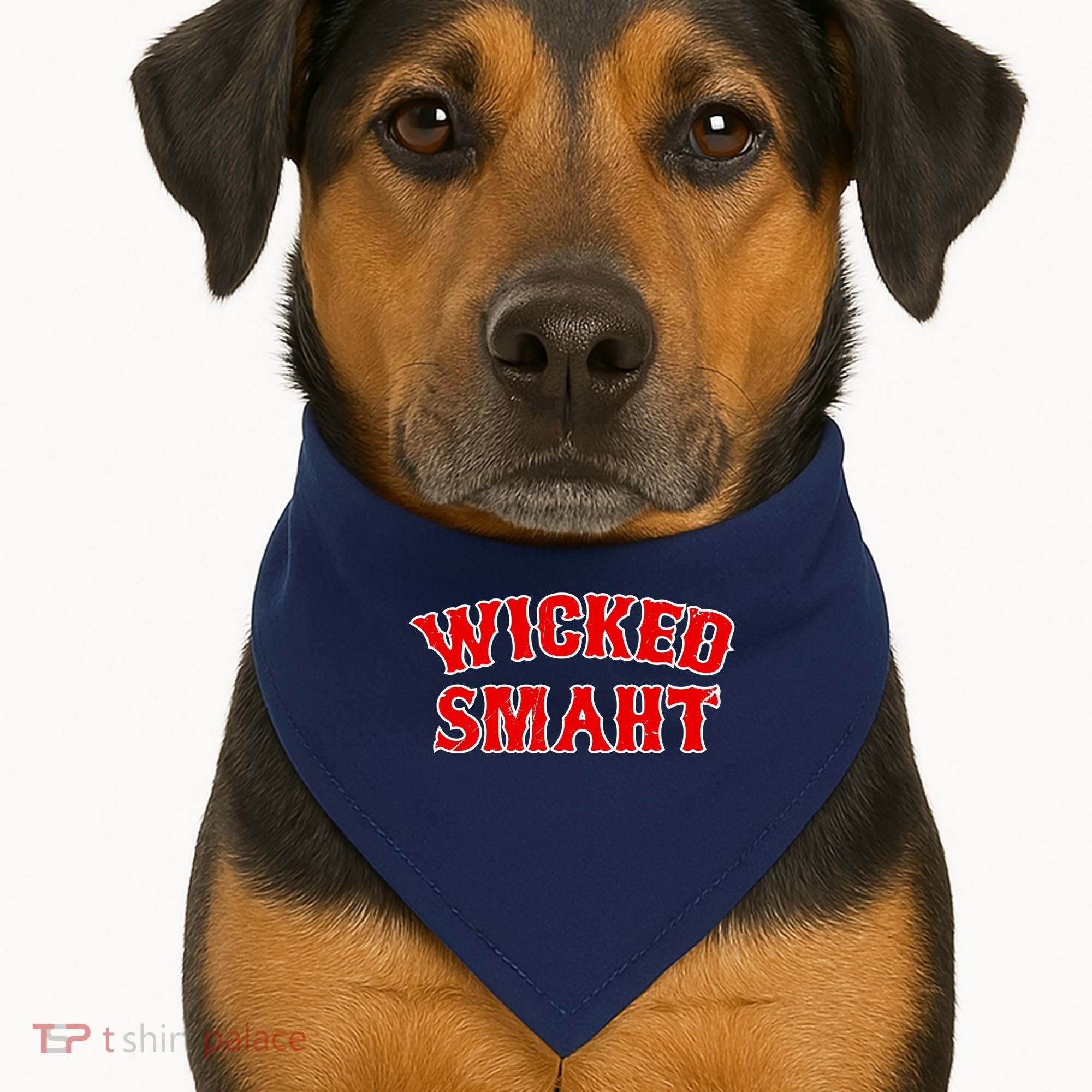 Wicked Smaht Smart Boston Massachusetts USA-Made Doggie Bandana