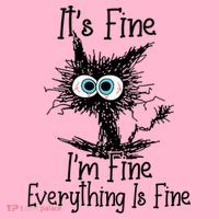 Wo It's Fine I'm Fine Everything Is Fine Funny Cat Gift Coaster thumb 2