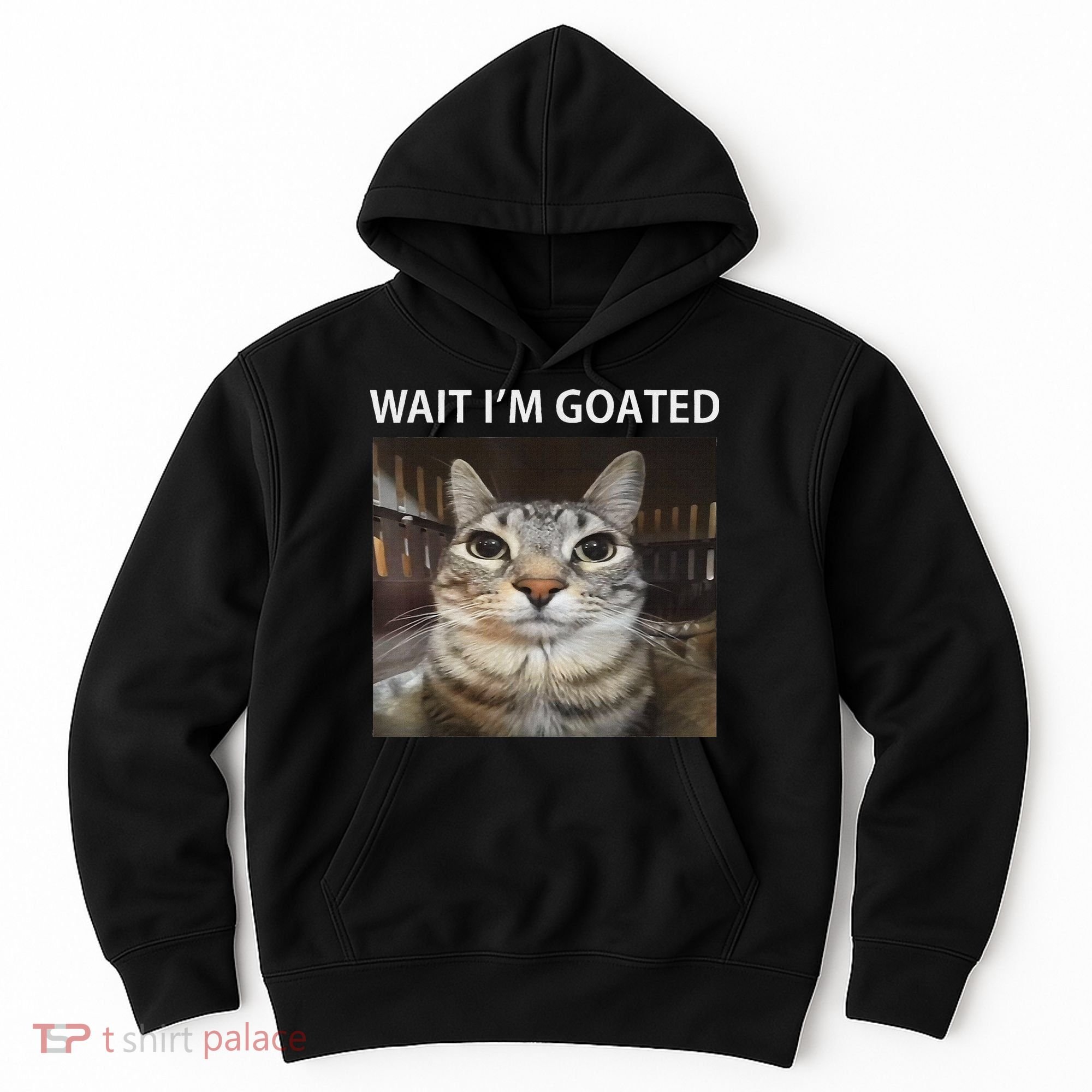 Wait IM Goated Silly Cat Meme Hoodie