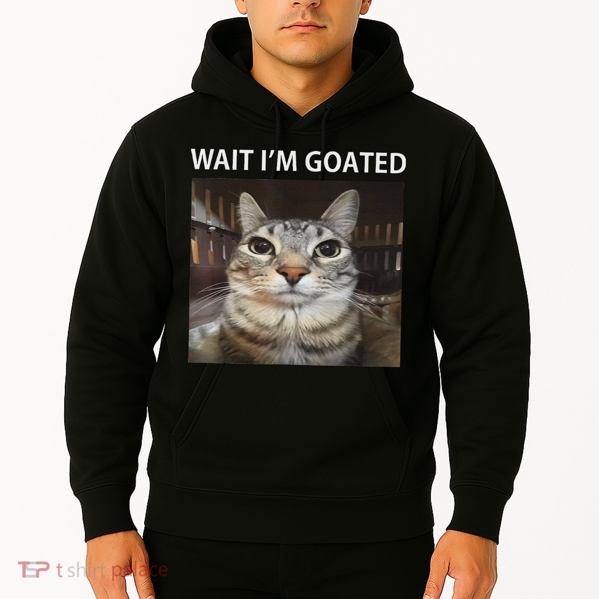 Wait IM Goated Silly Cat Meme Hoodie