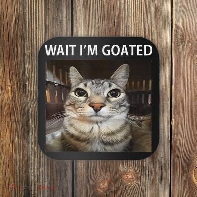 Wait IM Goated Silly Cat Meme Coaster
