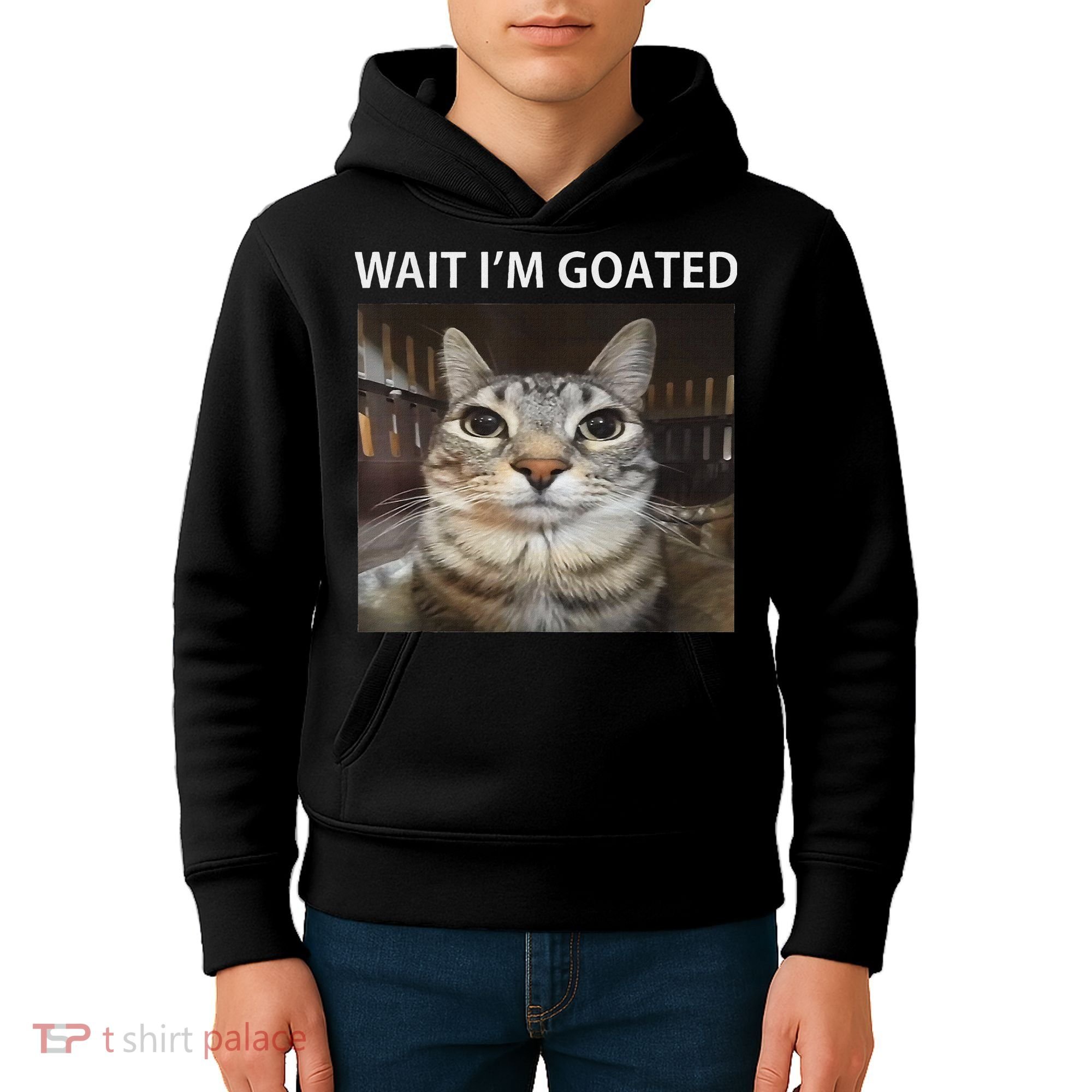 Wait IM Goated Silly Cat Meme Kids Hoodie