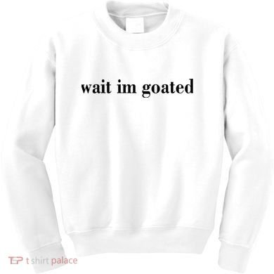 Wait Im Goated Funny Meme Kids Sweatshirt