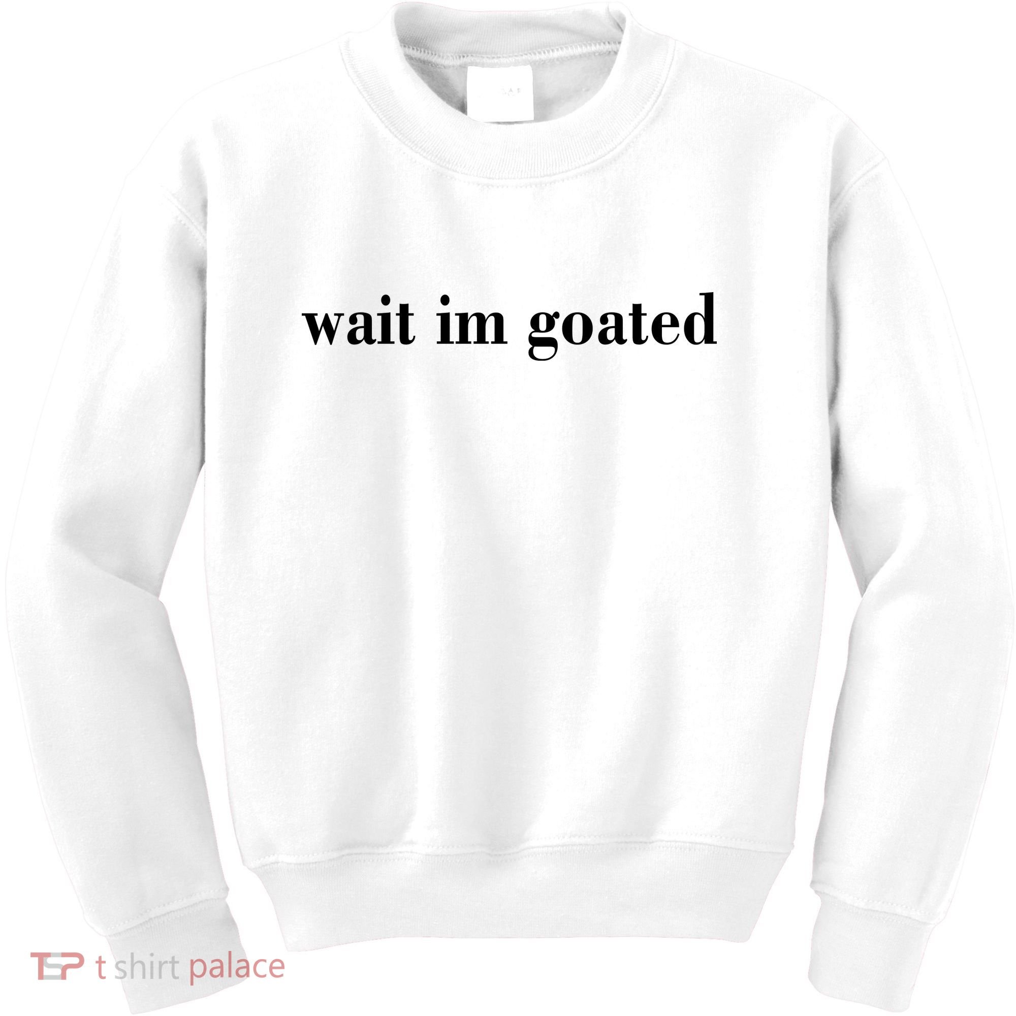 Wait Im Goated Funny Meme Kids Sweatshirt