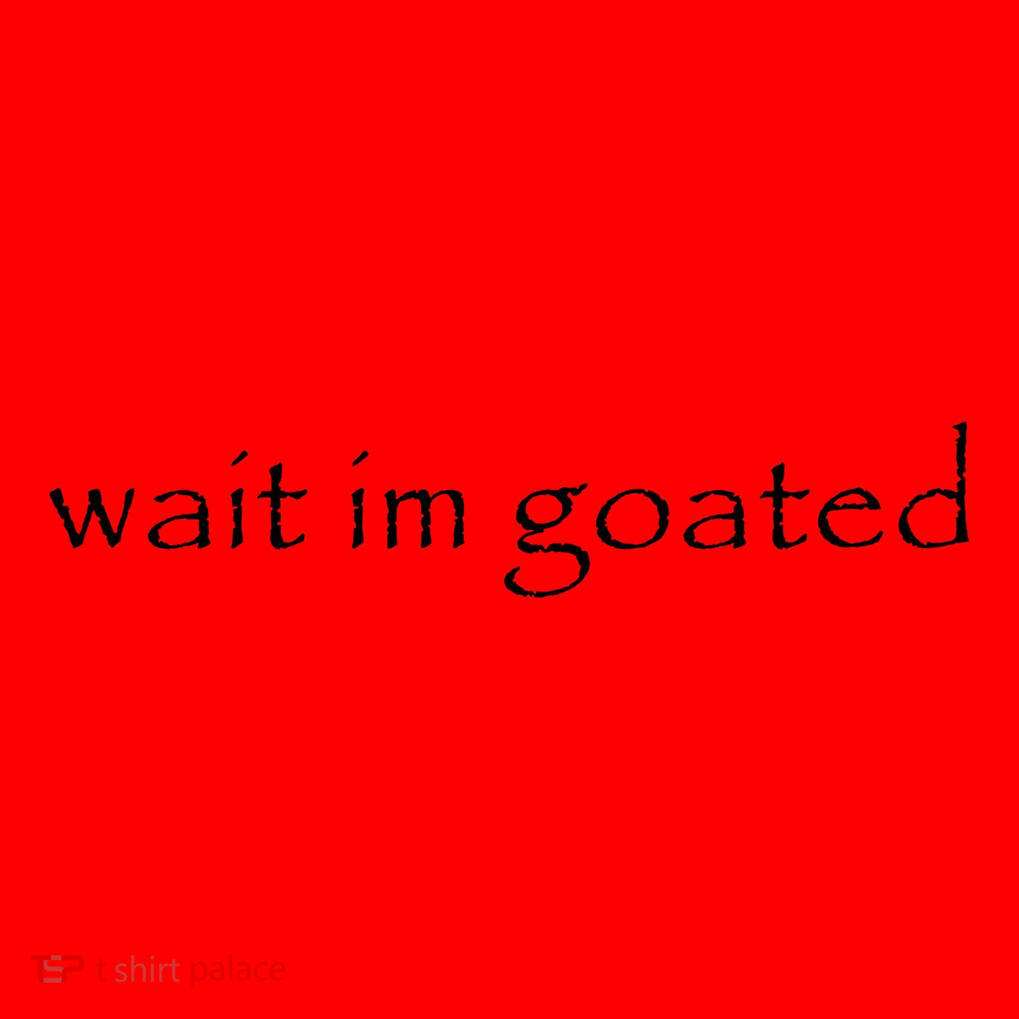 Wait Im Goated Funny Santa Hat