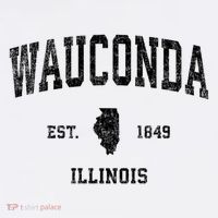 Wauconda Illinois IL Vintage Sports Black Print T-Shirt thumb 7