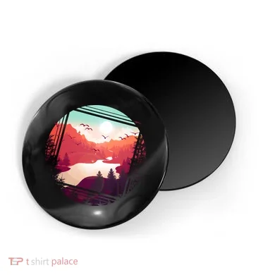 Magnet