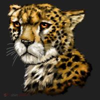 Wildlife - Big Face Cheetah Portrait Beanie thumb 2