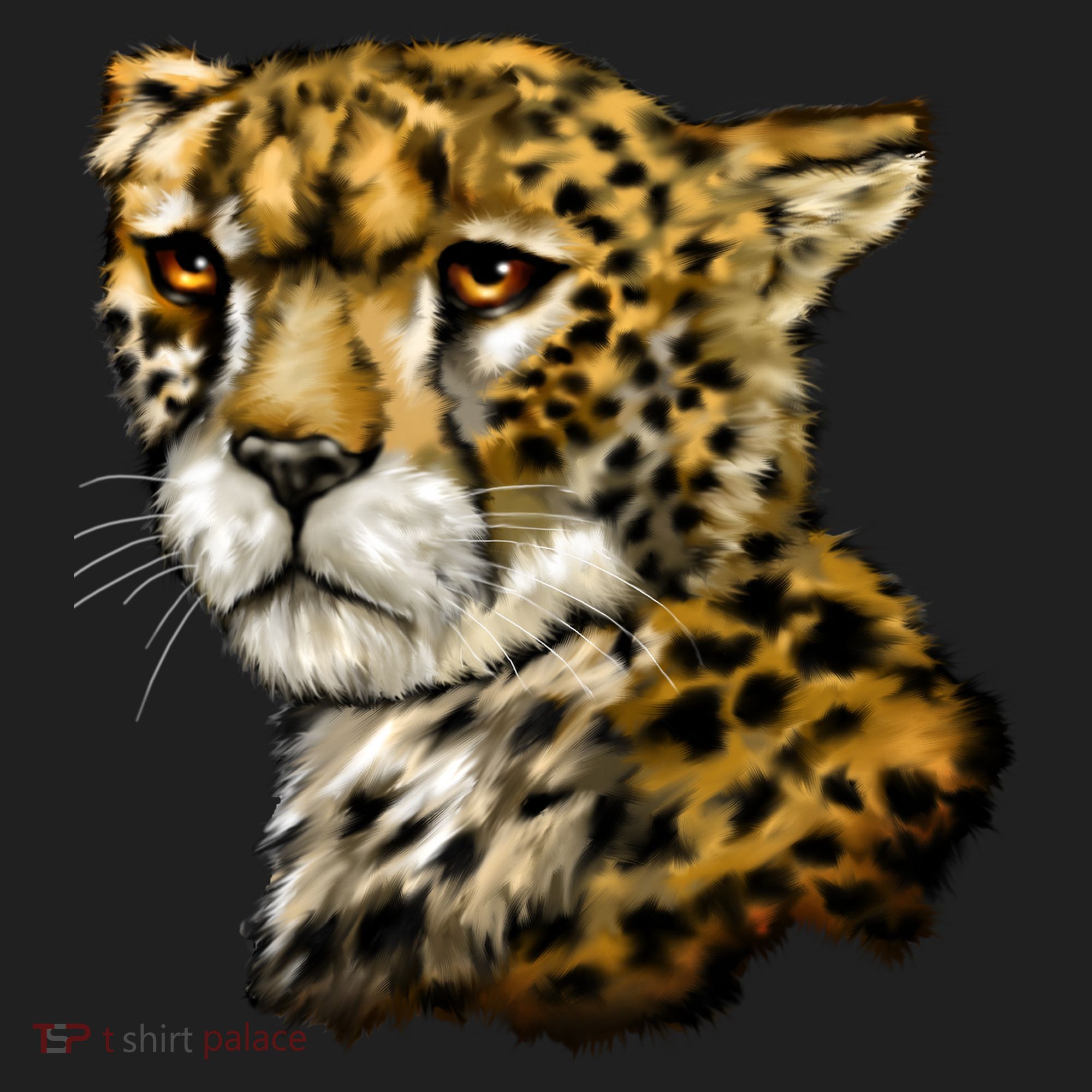 Wildlife - Big Face Cheetah Portrait Tumbler
