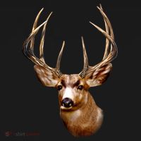 Wildlife - Big Face Deer Head Portrait Women's T-Shirt thumb 6