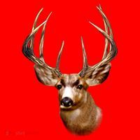 Wildlife - Big Face Deer Head Portrait Santa Hat thumb 1